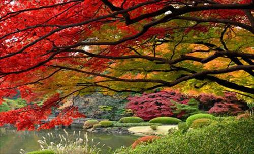 tokyo-3